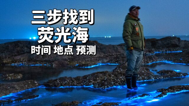 三步找到荧光海,地点大汇总,大连荧光海攻略