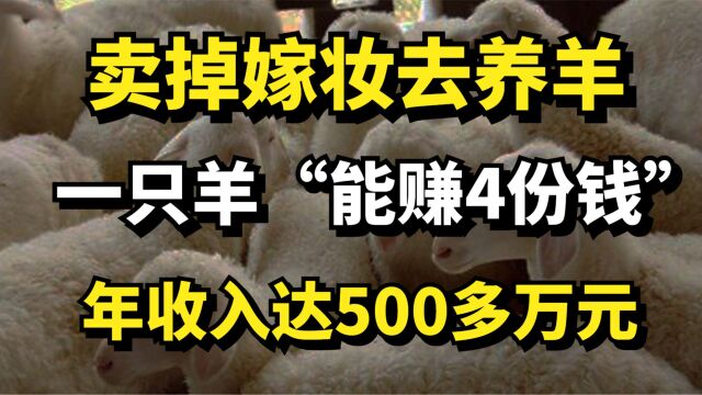 卖掉嫁妆去养羊,一只羊“能赚4份钱”,年收入达500多万元!