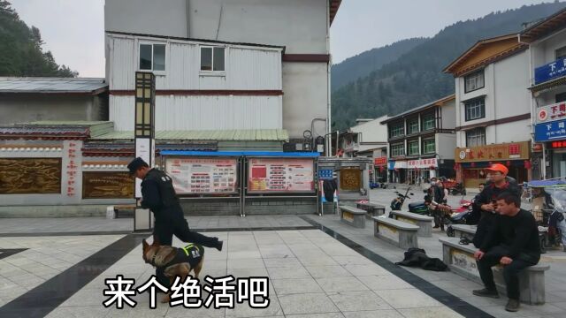 【全民反诈】日喀则亚东:新反诈宣传员“警犬宣传队”上岗!