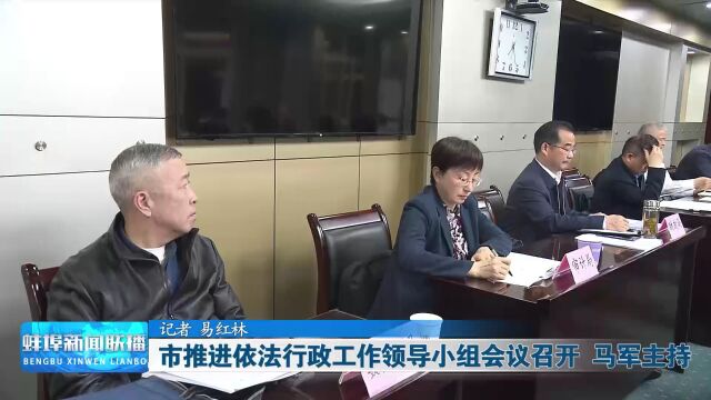 市推进依法行政工作领导小组会议召开 马军主持