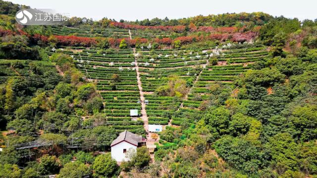 《江苏风采录》栏目组走进苏州市农业科学院