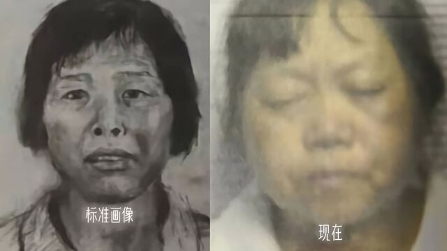 律师发帖称“人贩梅姨落网”登上热搜,广州警方:正核实网传信息