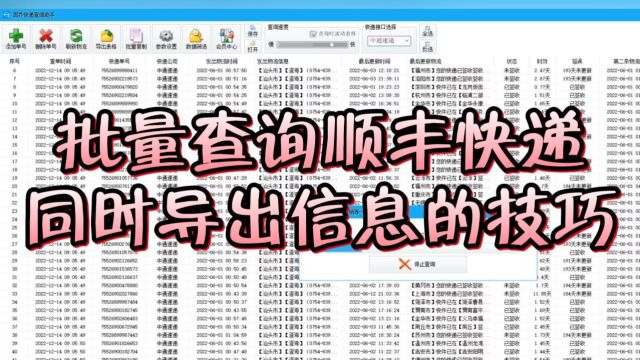 批量查询顺丰快递:轻松导出信息的技巧