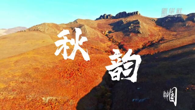 瞰中国|内蒙古霍林郭勒:秋韵