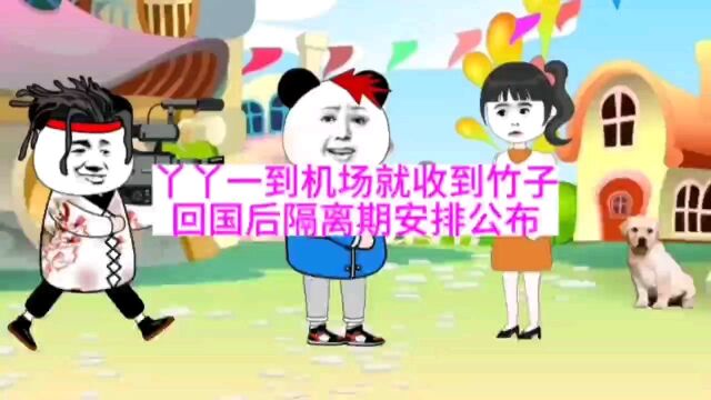 丫丫一到机场就收到竹子,回国后隔离期安排公布