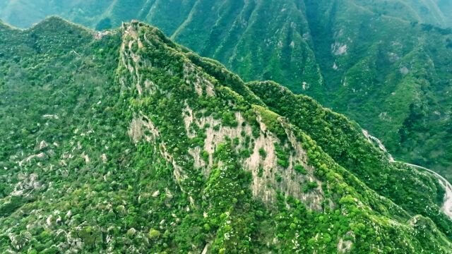 五一西安最佳打卡地|春暖花开杨柳绿,正是登山好时节,翠华山作为大秦岭的山水精华和人文典藏,素有西安后花园之美称