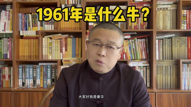 十二生肖运势:1961年的牛是什么牛?