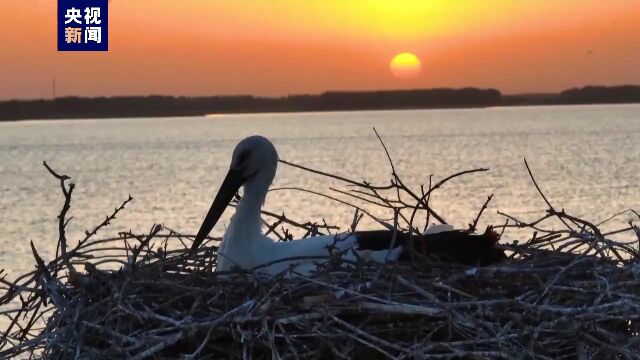 儋州高达44℃!热热热!海南极端高温天气连破纪录↑丨海上夜闻ⷨ熥즱‡