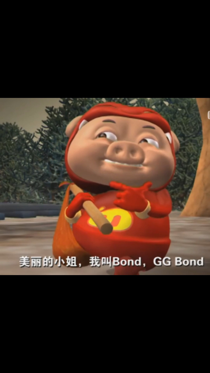 美丽的小姐,我叫bond,gg bond#猪猪侠 #gg bond