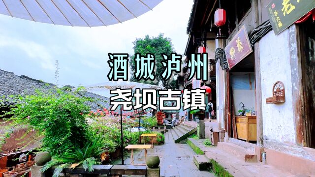 空气中都飘着淡淡酒香的城市,品味泸州老窖再逛尧坝古镇