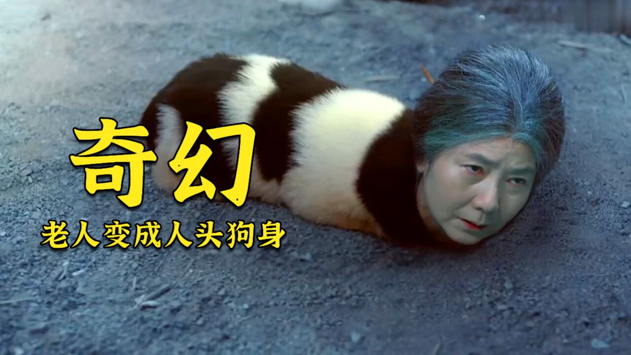 男人挂羊头卖狗肉得到了报应,让他母亲变成了人头狗身,小济公