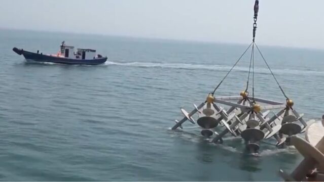 打造海上粮仓,长岛投放人工鱼礁,为海洋生物搭建新家