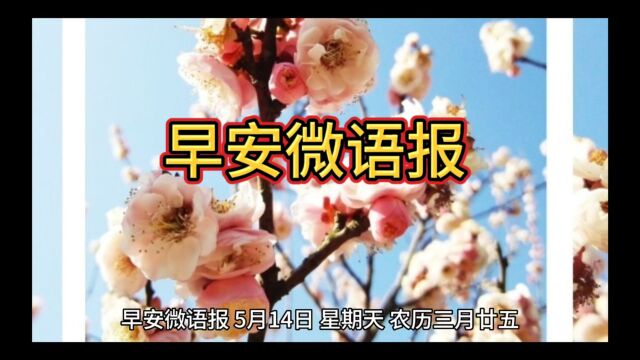 早安微语报(2023.5.14视频版)