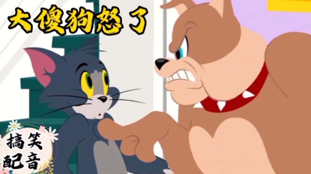 搞笑配音《猫和老鼠》大傻狗心太软让大傻猫陷害被赶走搞笑_高清1080P在线观看平台_腾讯视频