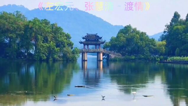 经典歌曲~渡情