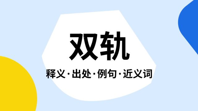 “双轨”是什么意思?