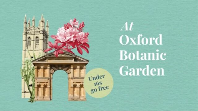 Oxford Botanic Garden and Arboretum牛津植物园和树木园 不能错过的美丽的英式花园