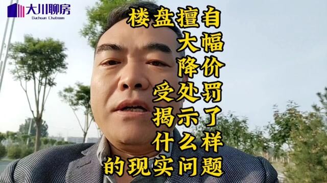 楼盘擅自大幅度降价受处罚揭示了一个什么样的现实问题#实话实说 #2023年是买房好时机吗 #大川聊房#昆山两项目降价被罚