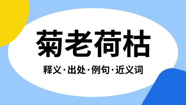 “菊老荷枯”是什么意思?