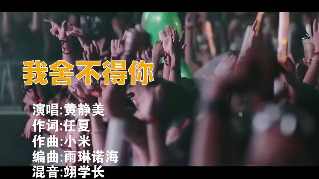 我舍不得你 DJ 黄静美