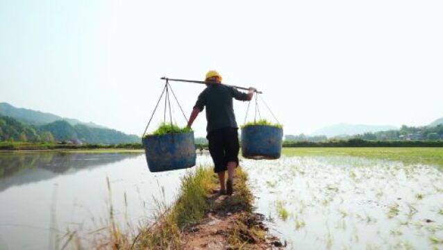 松木塘镇:诗意山水灵韵天成 文旅画卷落笔生辉