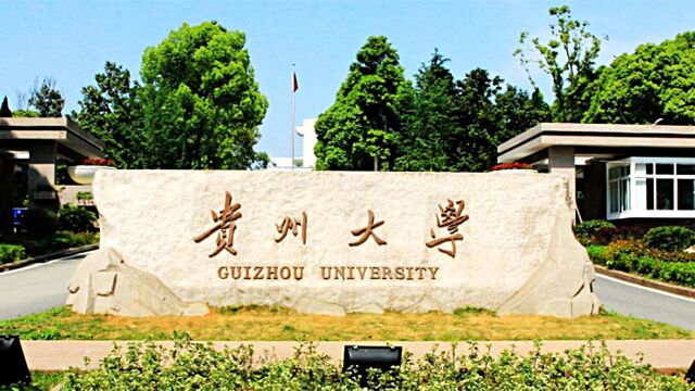 贵州大学辟谣情侣食堂内不雅行为:经核实,网传内容不实