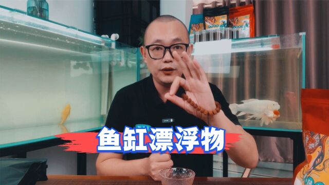 为什么我的鱼缸中总有一些漂浮物?