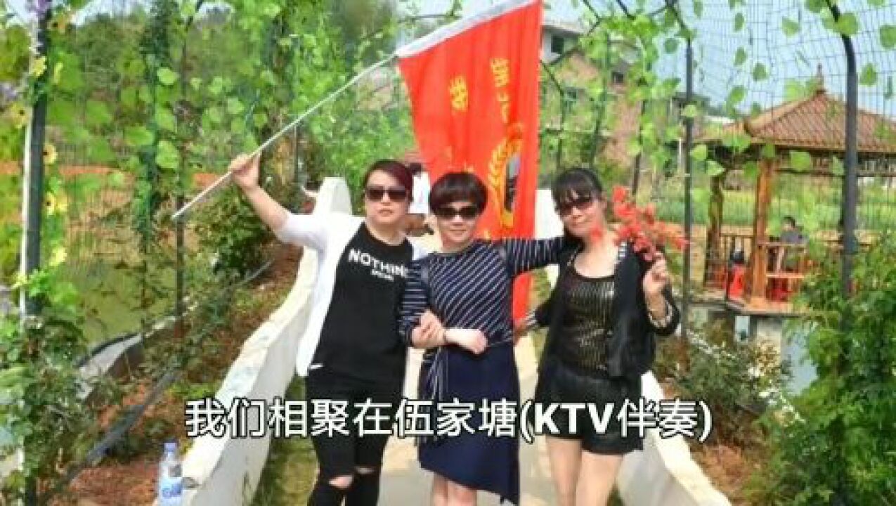 我们相聚在伍家塘(男声 ktv伴奏)