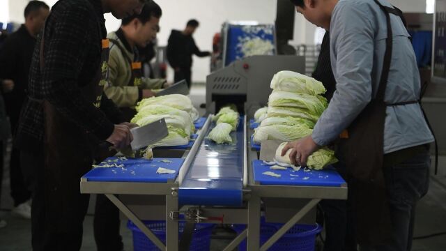 大型学校营养餐加工设备全自动净菜生产线团餐配送流水线