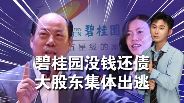 杨惠妍前脚刚捐64亿,后脚就没钱还债,却偷拿巨资帮心腹集体出逃