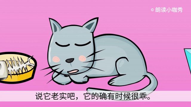 课文《猫》:大作家老舍也爱养猫?快来读一读老舍笔下的猫是怎样的!