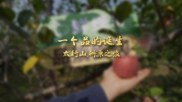 一个品的诞生:奇麟鲜品太行山溯源之旅