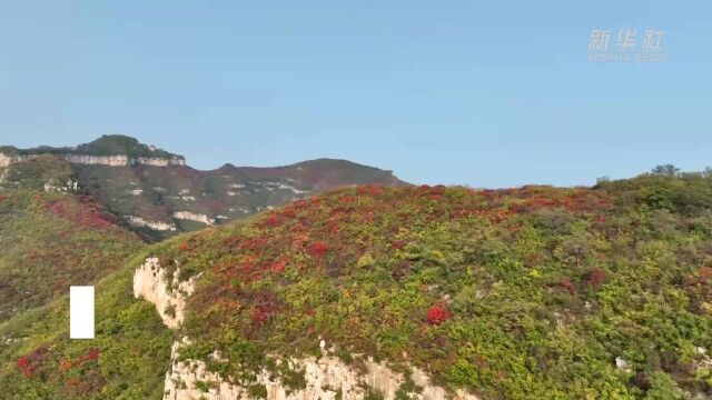 千城胜景|石家庄井陉矿区:红叶浸染 山色如画