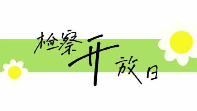 检爱同行,共护花开——洞口县人民检察院举办未成年人保护主题检察开放日