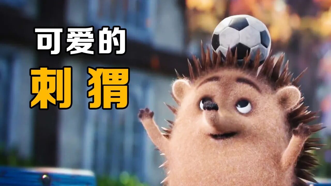 可爱的小刺猬《刺猬》_高清1080P在线观看平台_腾讯视频