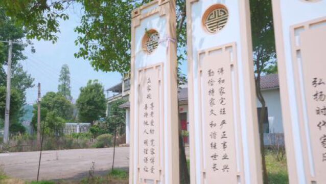 钱粮湖镇:鱼虾兴产业 文旅奏新曲