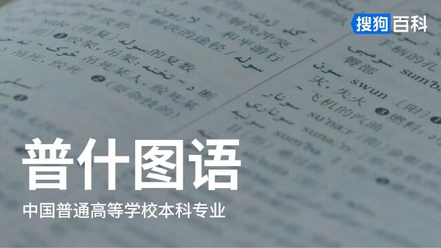 普什图语:外国语言文学类专业