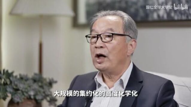 新歌号:乡村振兴中工业思维与自然法则取舍