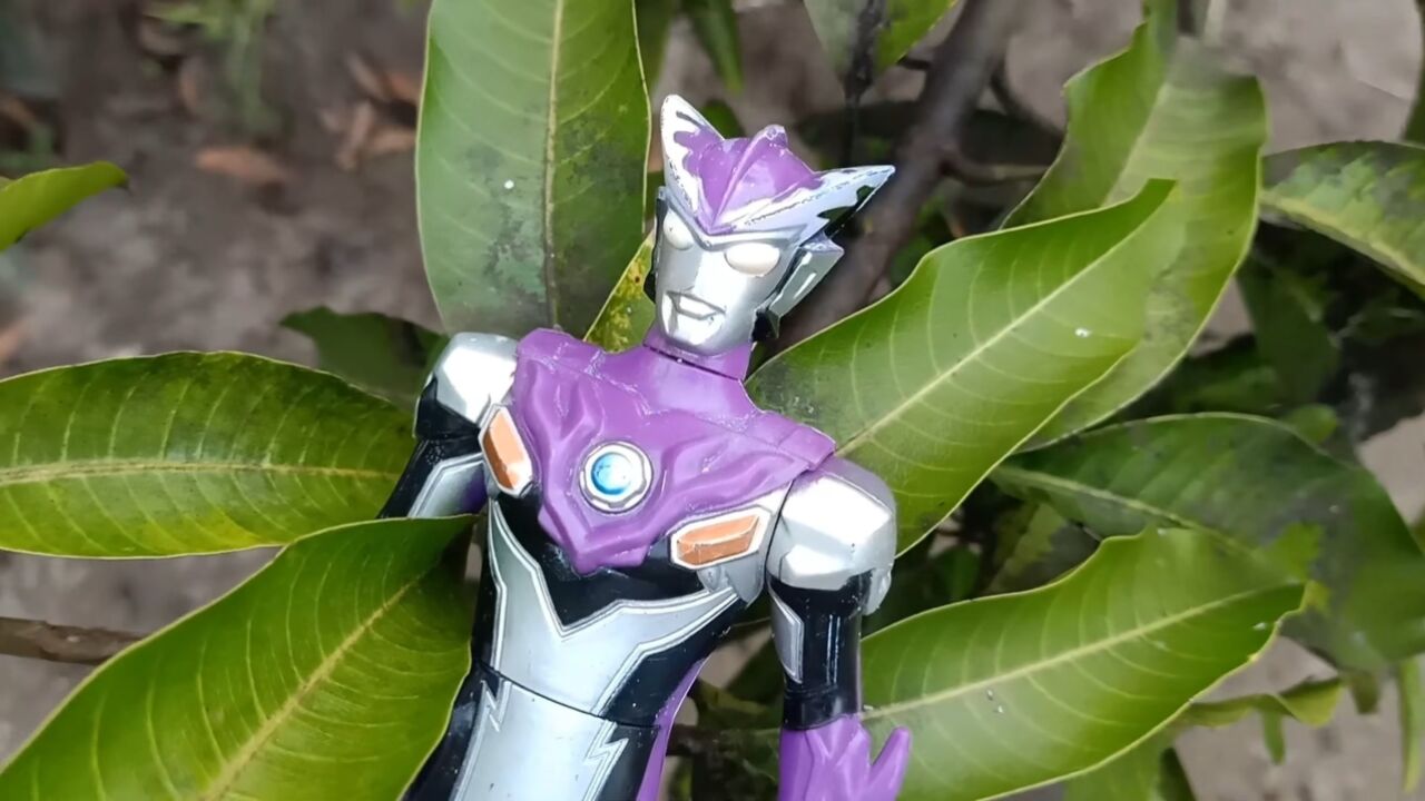 丛林寻宝,找到紫色奥特曼