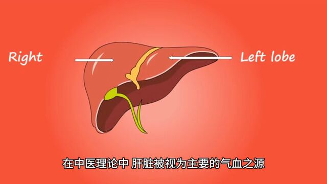 治帕金森为什么要用天麻、钩藤、龙骨、牡蛎?