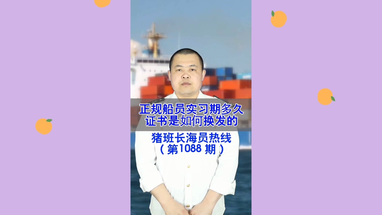 正规船员实习期多久？证书是如何换发的(猪班长海员热线1088期)