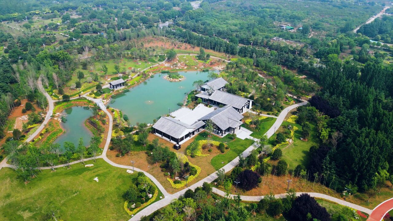 航拍初夏枣庄凤鸣公园 苍翠欲滴"擦亮"生态名片