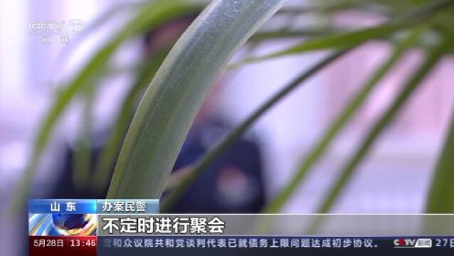 黄毒交织!警方抓获51人