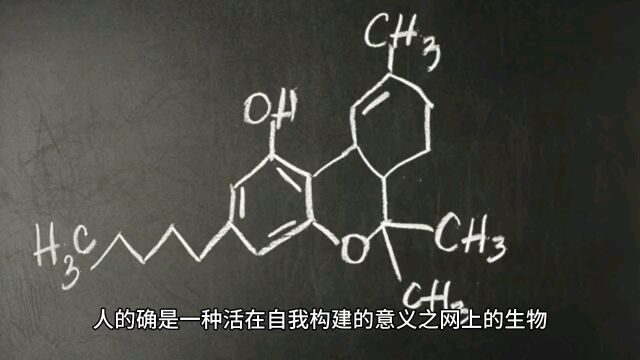 学历贬值了吗?