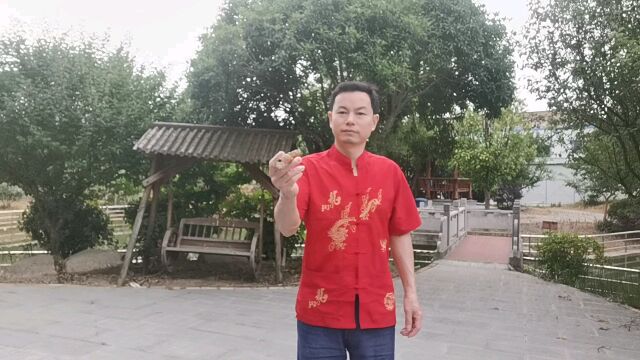 南飞雁洞箫演奏