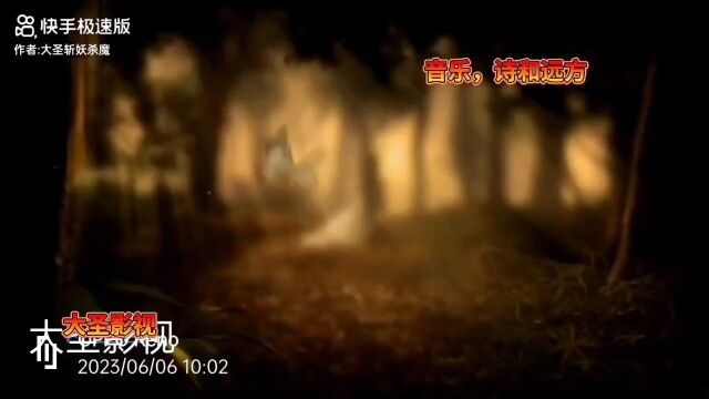 大圣影视——音乐,诗和远方 《大圣论坛》200集更新中