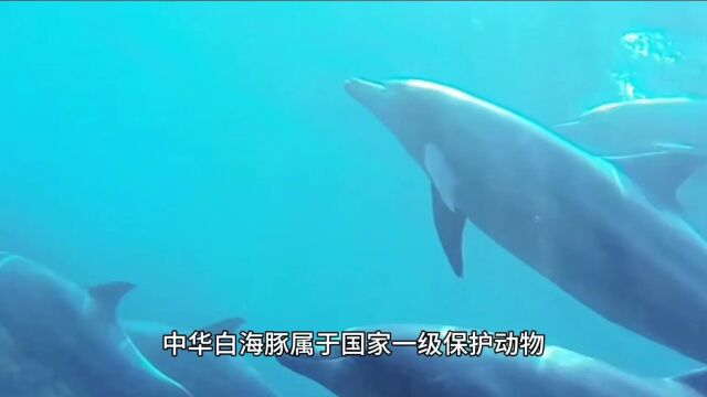 海洋食品与生物工程学院生工1211 韩钰