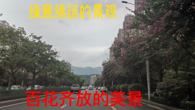 福州三八路,绿意绵延的景观,一路欣赏着百花齐放的美景