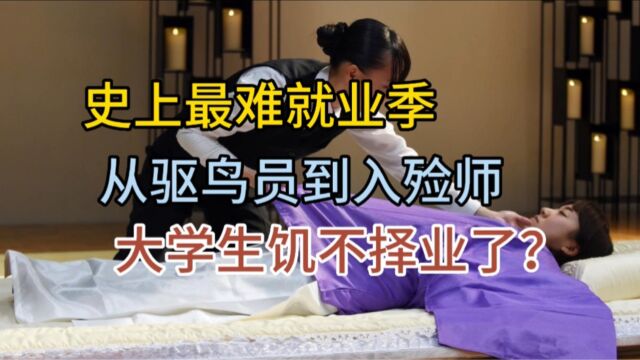 史上最难就业季.从驱鸟员到入殓师,中国大学生饥不择业了?