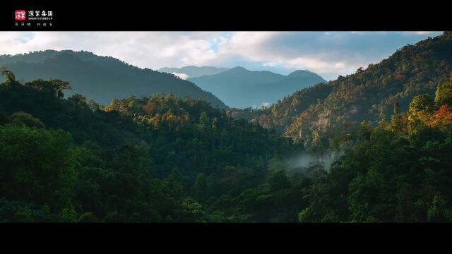 麓山之音 麓山之音 麓山之音 麓山之音